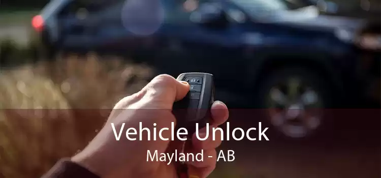 Vehicle Unlock Mayland - AB
