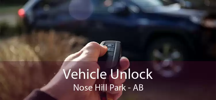 Vehicle Unlock Nose Hill Park - AB
