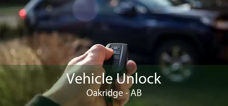 Vehicle Unlock Oakridge - AB