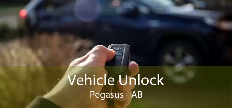 Vehicle Unlock Pegasus - AB