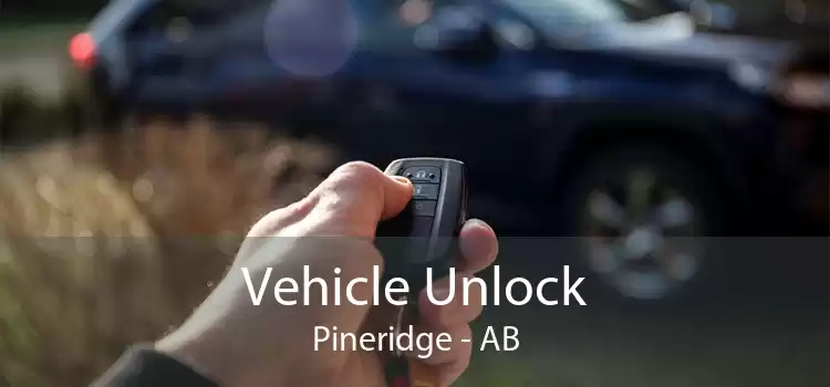 Vehicle Unlock Pineridge - AB