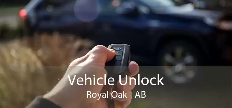 Vehicle Unlock Royal Oak - AB
