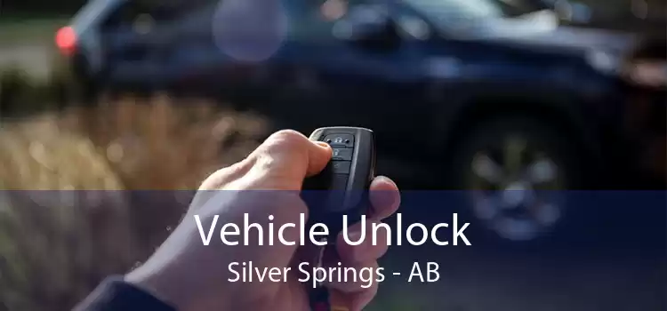 Vehicle Unlock Silver Springs - AB