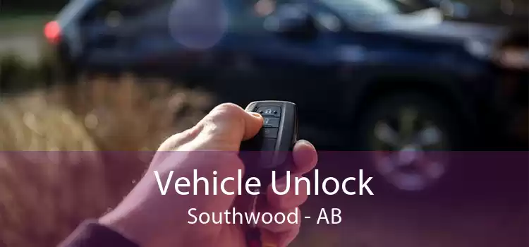 Vehicle Unlock Southwood - AB