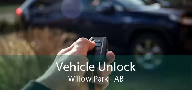 Vehicle Unlock Willow Park - AB