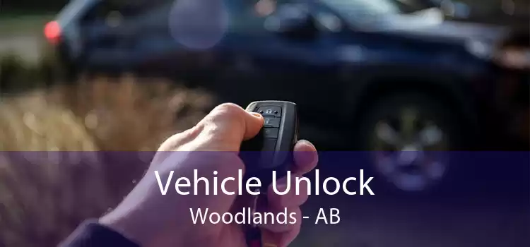 Vehicle Unlock Woodlands - AB