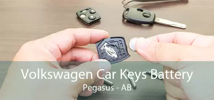 Volkswagen Car Keys Battery Pegasus - AB