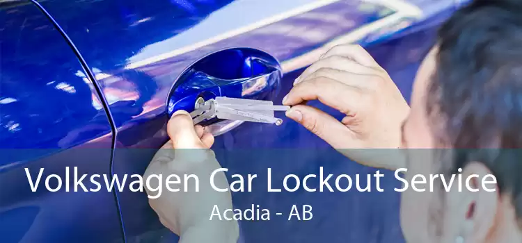 Volkswagen Car Lockout Service Acadia - AB