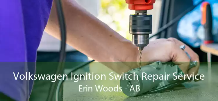 Volkswagen Ignition Switch Repair Service Erin Woods - AB