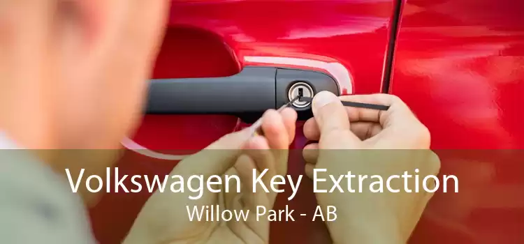 Volkswagen Key Extraction Willow Park - AB