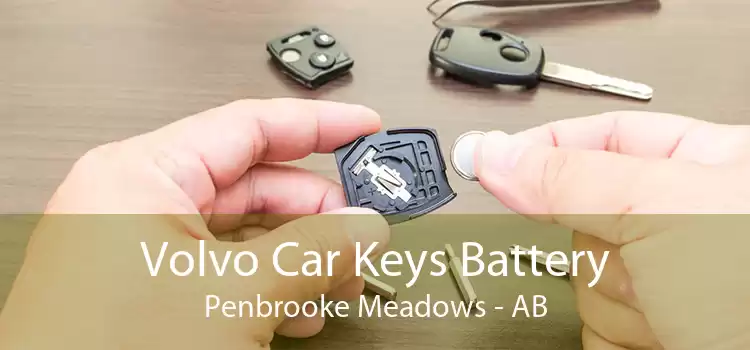 Volvo Car Keys Battery Penbrooke Meadows - AB