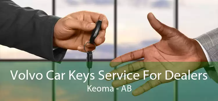 Volvo Car Keys Service For Dealers Keoma - AB
