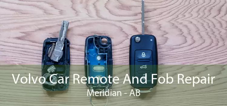 Volvo Car Remote And Fob Repair Meridian - AB