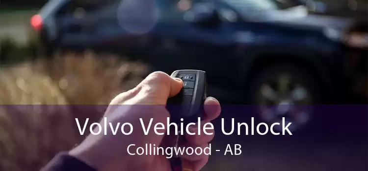 Volvo Vehicle Unlock Collingwood - AB