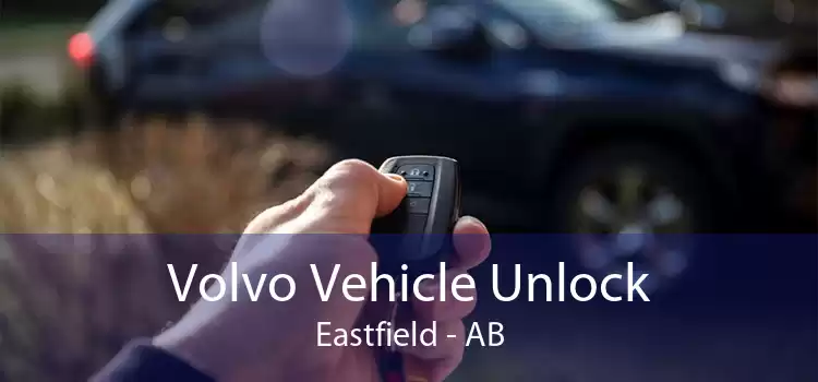 Volvo Vehicle Unlock Eastfield - AB