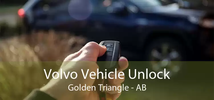 Volvo Vehicle Unlock Golden Triangle - AB