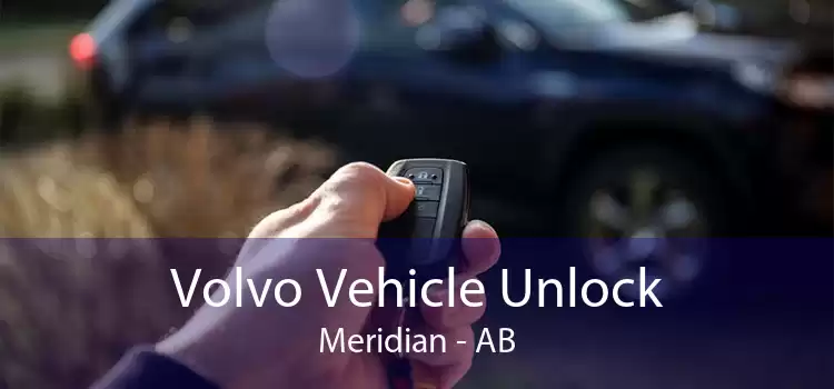 Volvo Vehicle Unlock Meridian - AB