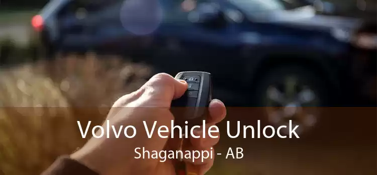 Volvo Vehicle Unlock Shaganappi - AB