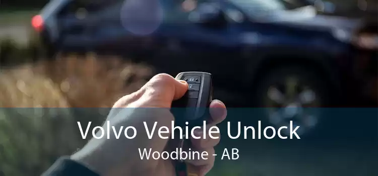 Volvo Vehicle Unlock Woodbine - AB